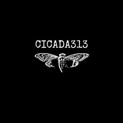 "ember" スマート上の何か (satire on cicada313 ep)