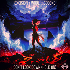 Taylor Swift x Excision x Wooli- Blank Space X Don't Look Down X Just A Dream (FREE DL)