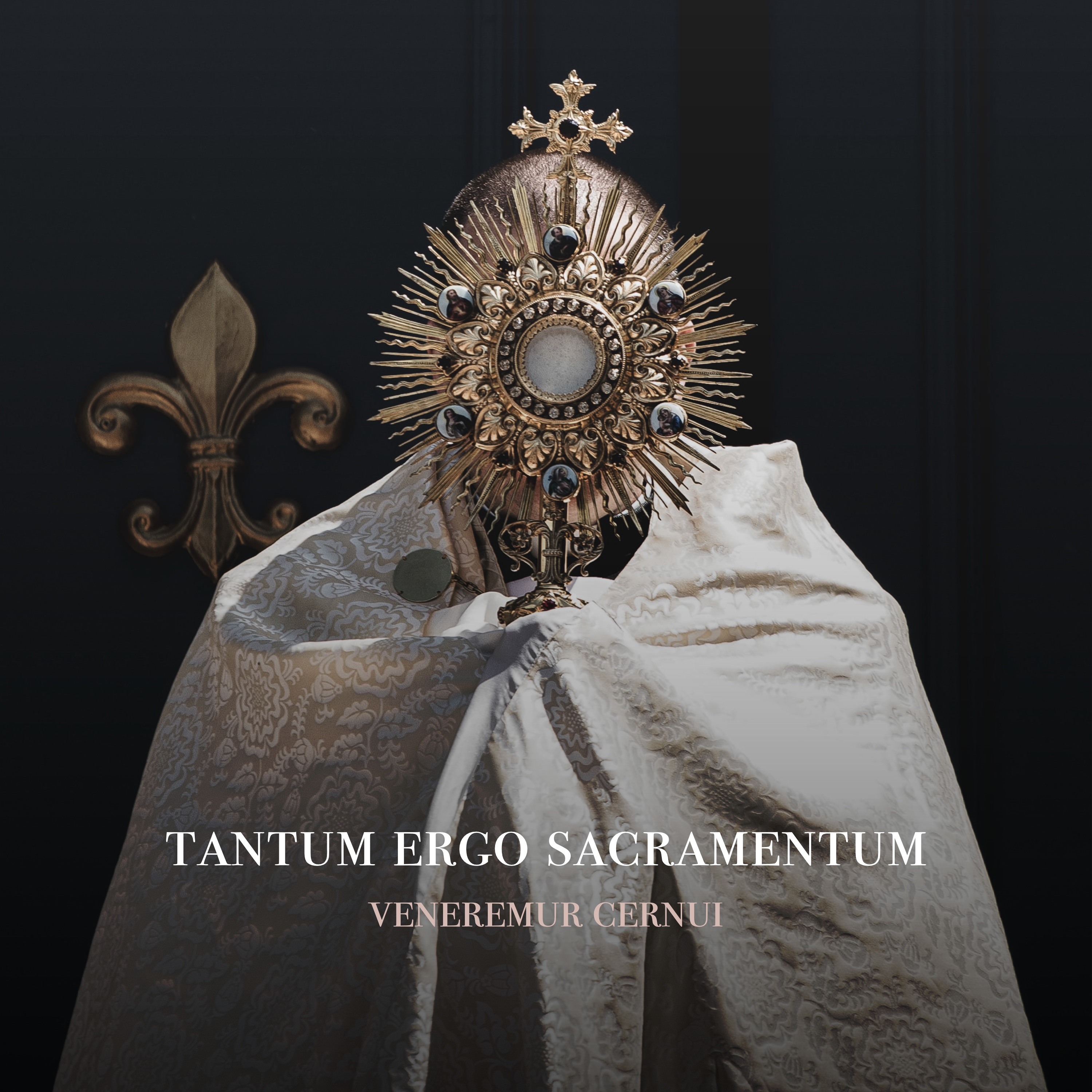 Fr. Barry Braum - Homilies and Conferences