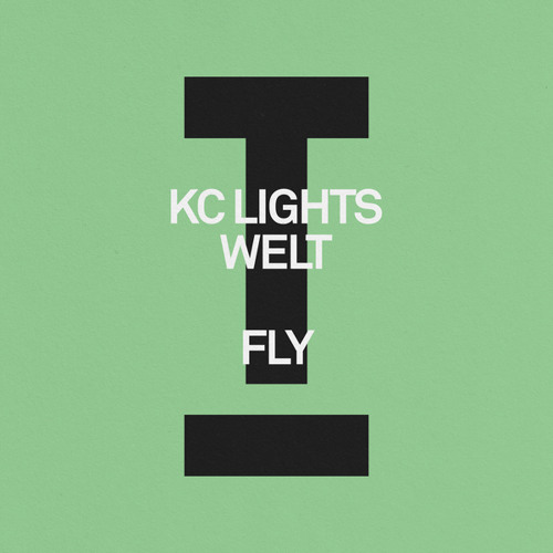 Fly (Extended Mix)