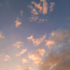 سورة غافر كاملة الشيخ أحمد أبو بكر رمضان 1446 ||| 2025