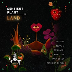 LɅND • Sentient Plant • Matija & Rich's Photosynthesizer Remix