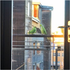 Le Tourbillon (#182)