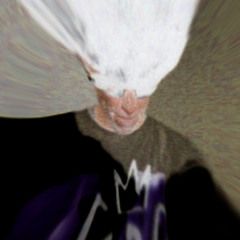AIR PUFF