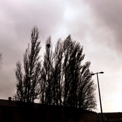 hot wind