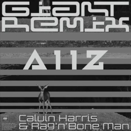 Giant - Calvin Harris ft Rag n Bone Man (AIIZ Rmx)