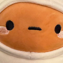 Jesse, where are you going_1-21-25