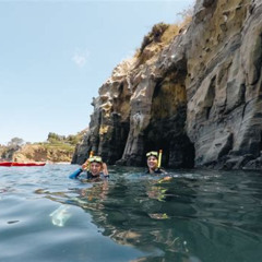 Best Kayak And Snorkel La Jolla Prices Reviews