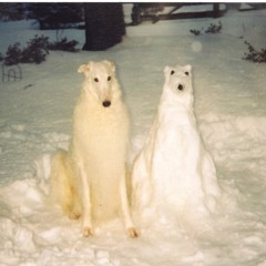 Ultra Happy hardcore by music maker dr fies