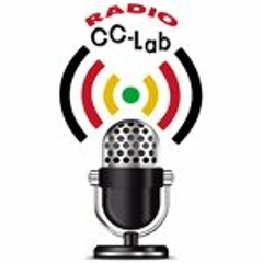 Radio ema T2 P10 Contenido del INFORME DE RESULTADOS