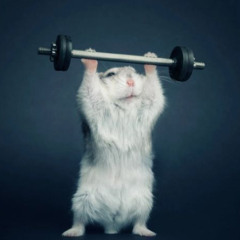 you a hamster Prod. SlimyBeats & ‪@slajidibeats3661