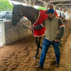 Behind the scenes, Latino immigrants make the Kentucky Derby possible