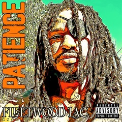 Patience- Fleetwood Lac  Mix