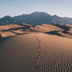 Baca - Desert Seeds (original Mix)