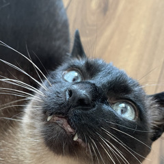 Tranceformation 2.0 <3