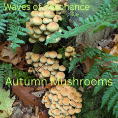 Autumn Mushrooms