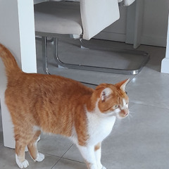 sie waren mal freunde (demo)