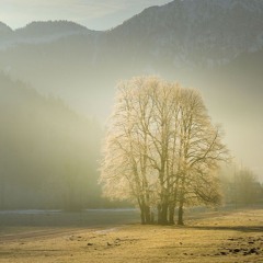 Misty Morning (2016) Anthology CD2 Track 12
