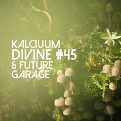 Divine & Future Garage #45