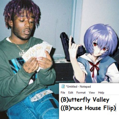 (B)utterfly Valley ((B)ruce House Flip)