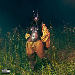 Kitchen - SZA (nethxalleen)