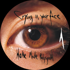 AFX - In The Maze Park