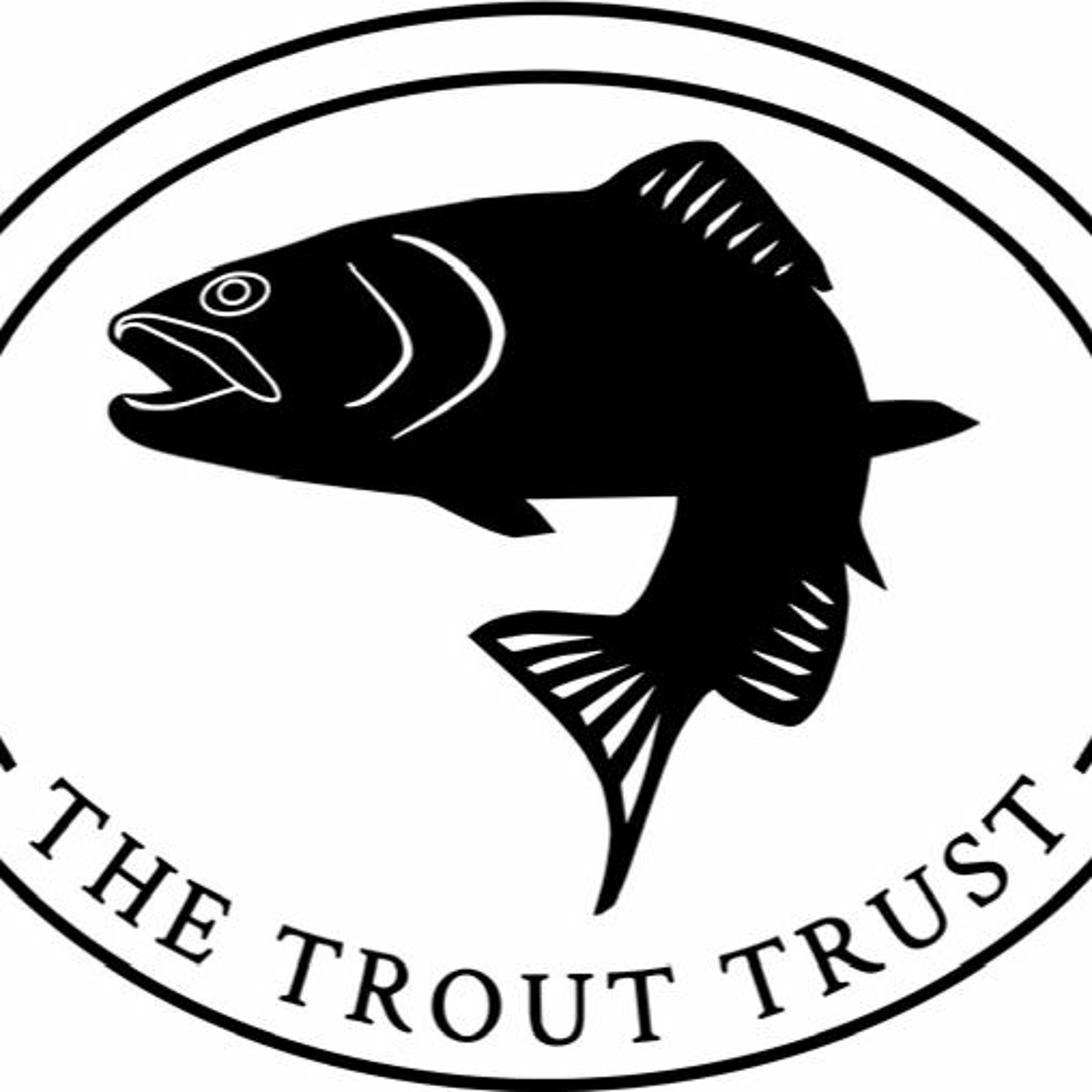 Fly Fishing 97 Podcast