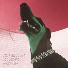 So U Kno (Zain Wolf Flip)