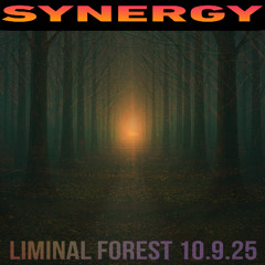 HAJ @ SYNERGY 10.09.25