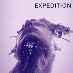 Expedition 031 by Safa