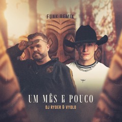 Zé Neto & Cristiano - Um Mês E Pouco (VYOLO & DJ RYDER) Remix