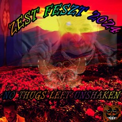 zest feszt 2024 techno :3