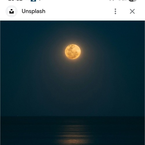 Martin Bird - Moonlit