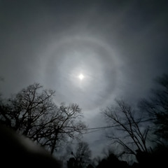 real sh*t  [lordmoncler]