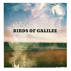 Birds of Galilee