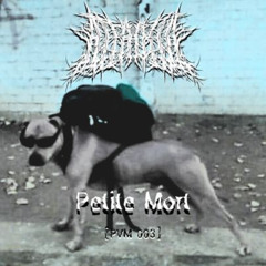 [PODCAST] PetiteMørt - ATKL Records [PVM005]