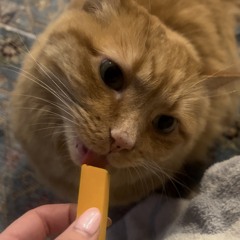 Rhyme Dust x Sims x Push