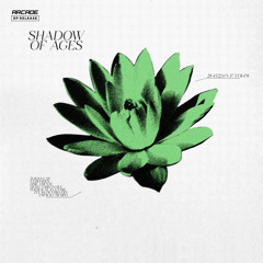 Wiguez & Ric Waves - Shadow Of Ages [Arcade Release]