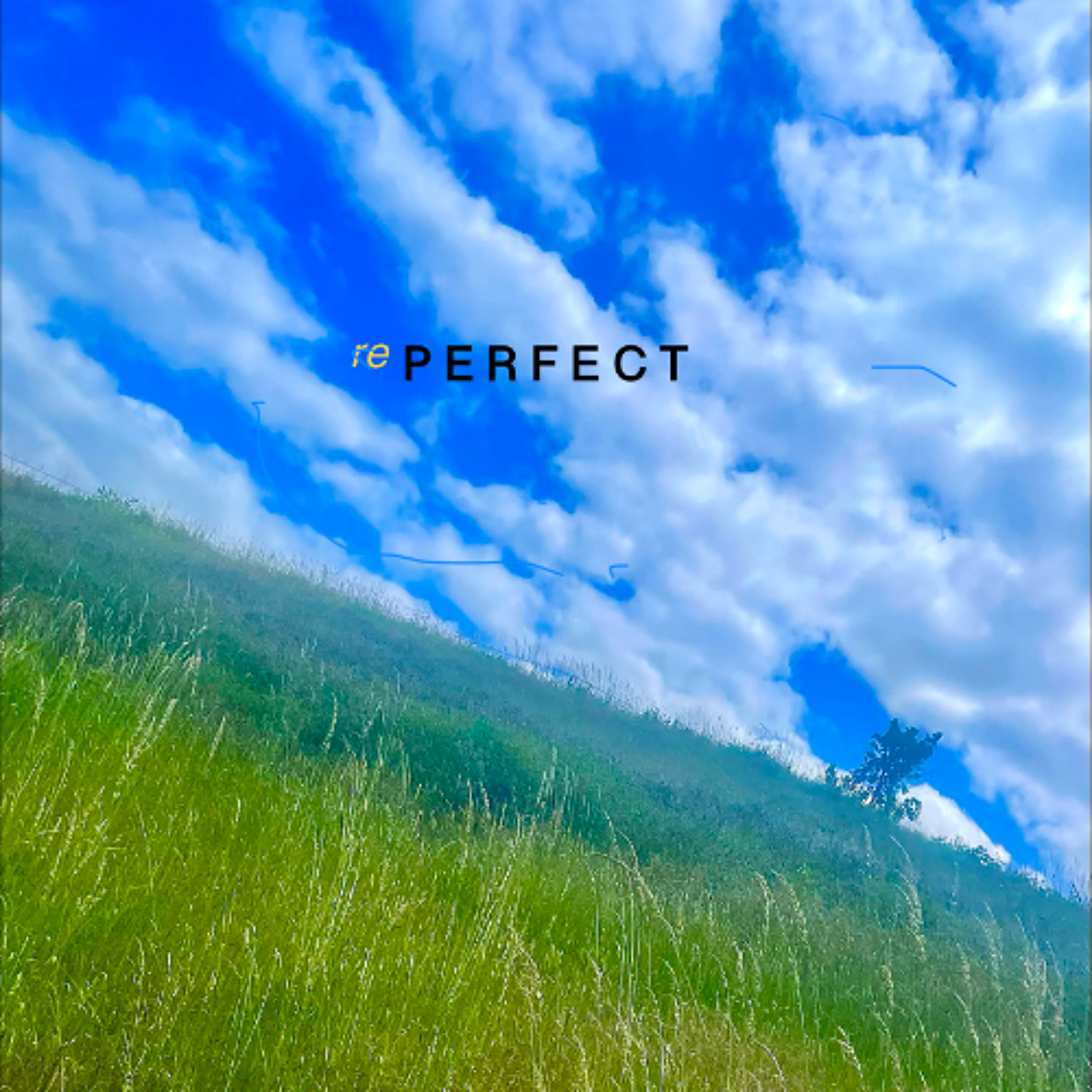 rePerfect episode artwork