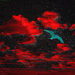 SHITTYBOYZ - Black ops