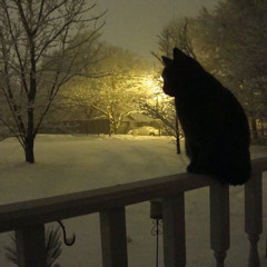 ‎ςгєค๓๓єՇє๏ קг๏๔ ๓คץร