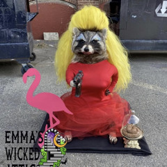 Jersey Shore Shallow 4 ya nerve