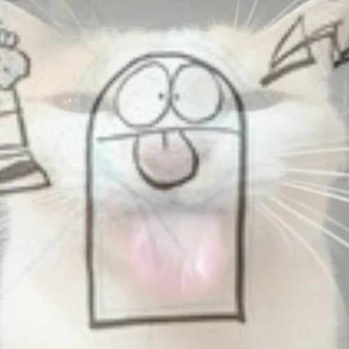 𝙃𝙤𝙬 𝙎𝙞𝙡𝙡𝙮!