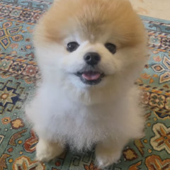 マジックペンと君の名前┆カネコアヤノ カバー