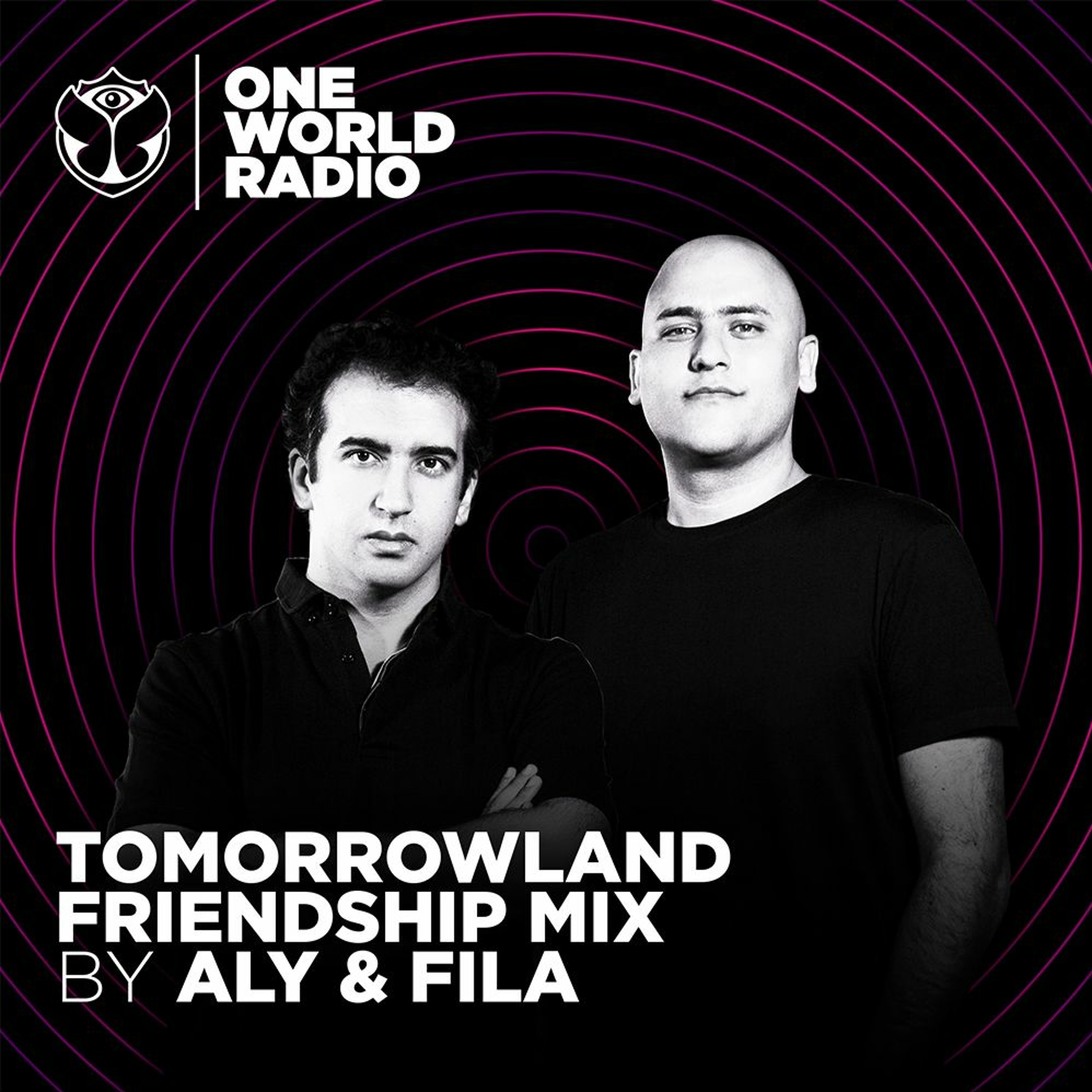 Tomorrowland Friendship Mix