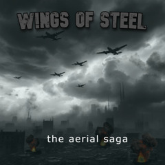 W!NGS OF STEEL - phoenix fj