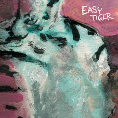 PREMIERE: Mr.Pablo - Franz Scheppert (Planet Caravan Remix) [Easy Tiger]