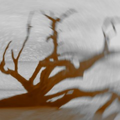 driftwood (early mix)