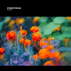 Premiere: MAUER - SYNESTHESIA [SENSOR Records]
