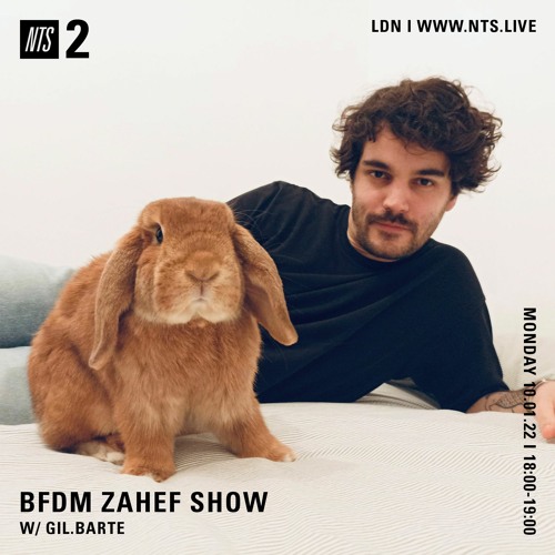 BFDM ZAHEF SHOW NTS RADIO 10.01.2022 (GIL.BARTE)